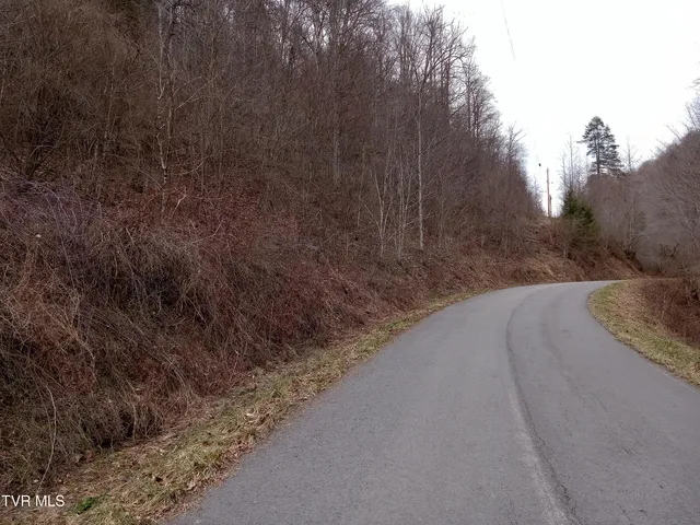 $242,000 | Tbd Old Wolf Road, Grundy, VA 24614