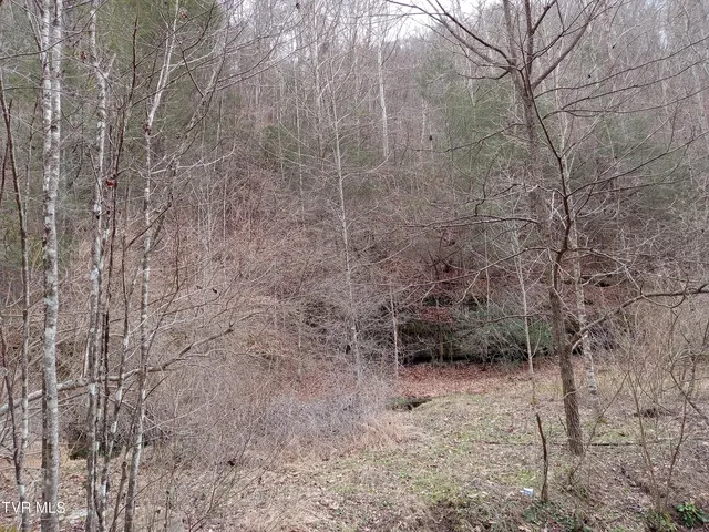 $242,000 | Tbd Old Wolf Road, Grundy, VA 24614