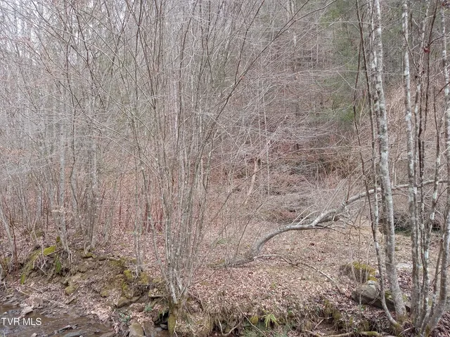 $242,000 | Tbd Old Wolf Road, Grundy, VA 24614