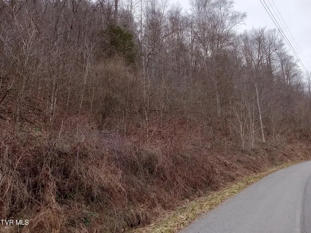 $242,000 | Tbd Old Wolf Road, Grundy, VA 24614