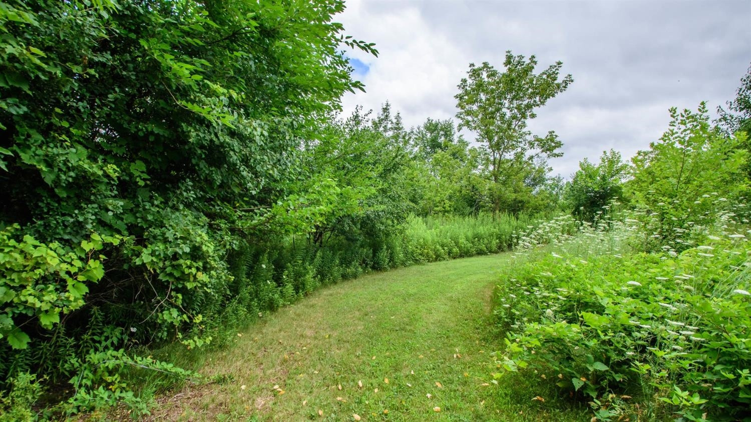 2323 East Willow Road Milan, MI 48160 - Photo 85 of 90 Photo 85