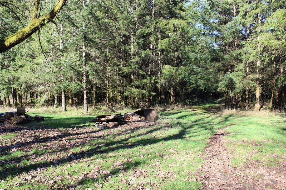 7338 James Road Southwest Rochester, WA 98579 - Photo 22 of 25