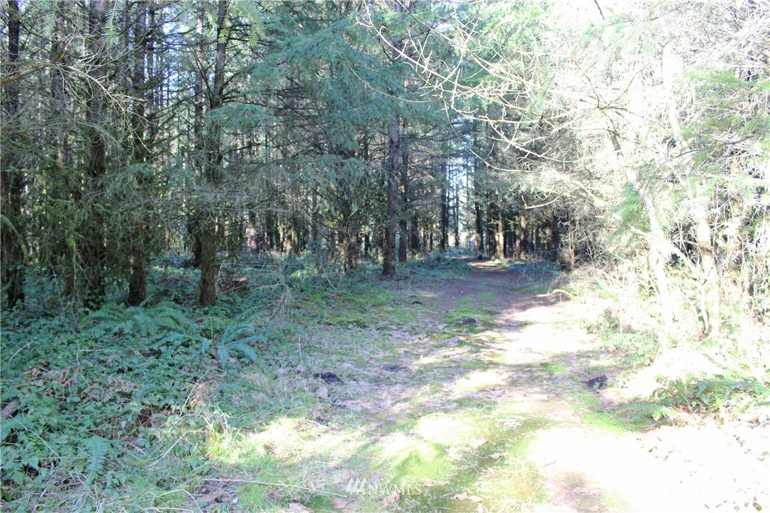 7338 James Road Southwest Rochester, WA 98579 - Photo 24 of 25