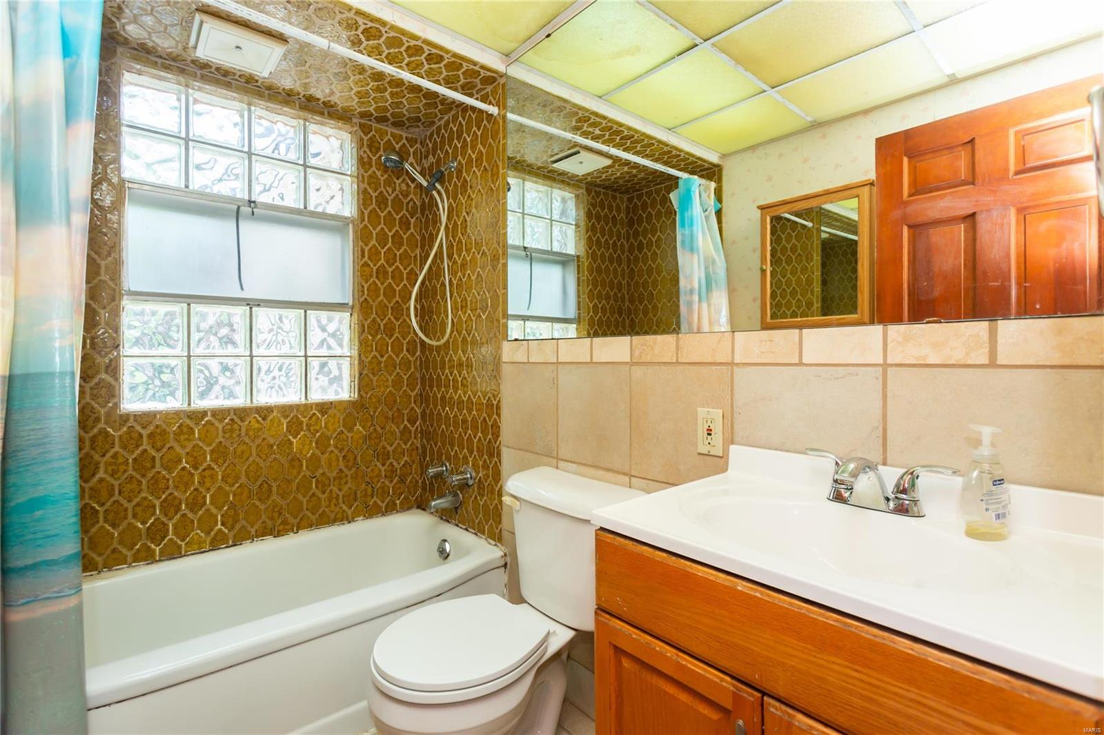 9218 Alpine Drive St. Louis, MO 63123 - Photo 13 of 22