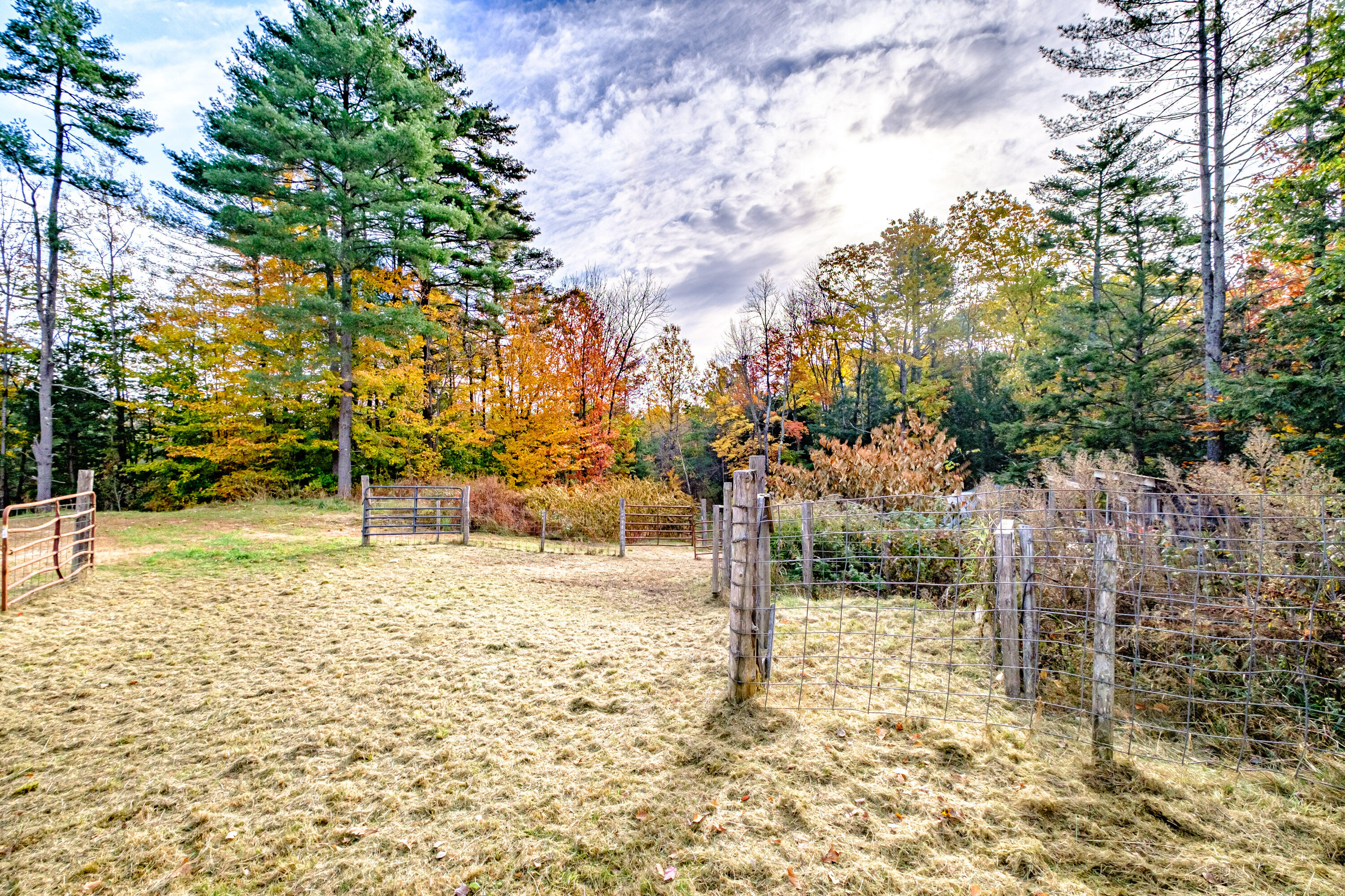 9 Carl Burnell Road East Baldwin, ME 04024 - Photo 70 of 102 20241021gp-60035