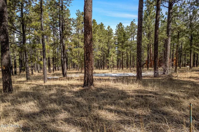 $110,000 | 3 County Rd N1062, Unit 4, Greer, AZ 85927