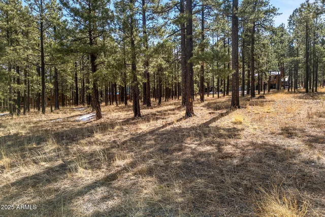 $110,000 | 3 County Rd N1062, Unit 4, Greer, AZ 85927