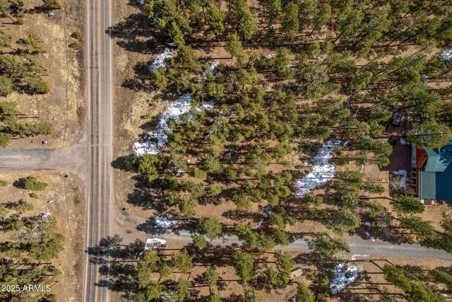 $110,000 | 3 County Rd N1062, Unit 4, Greer, AZ 85927