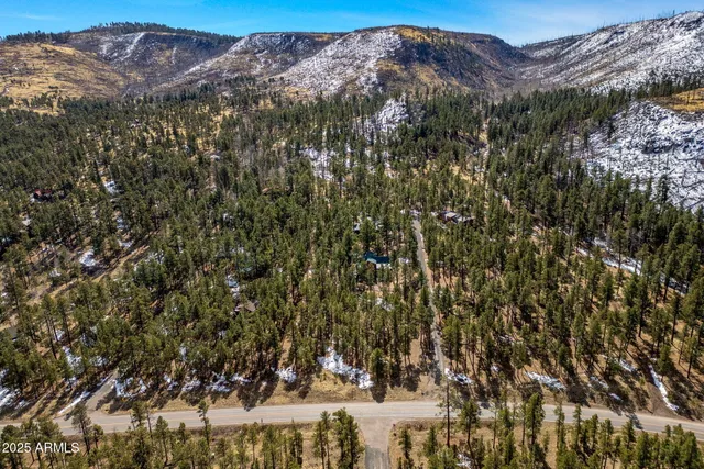 $110,000 | 3 County Rd N1062, Unit 4, Greer, AZ 85927