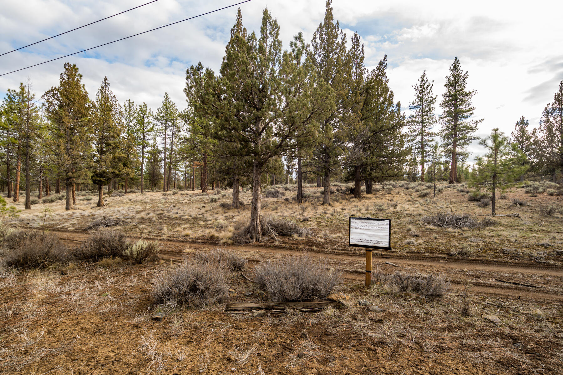 16305 Riata Court Sisters, OR 97759 - Photo 5 of 23 a view of a yard with a tree