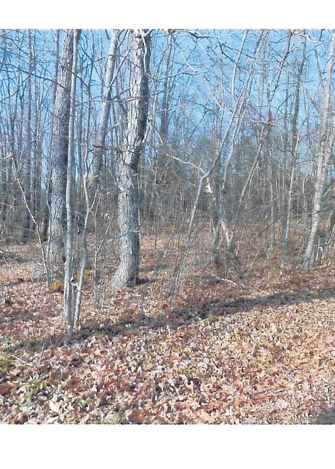 0 Carnes School Road Cranberry, PA 16319 - Photo 1 of 2
