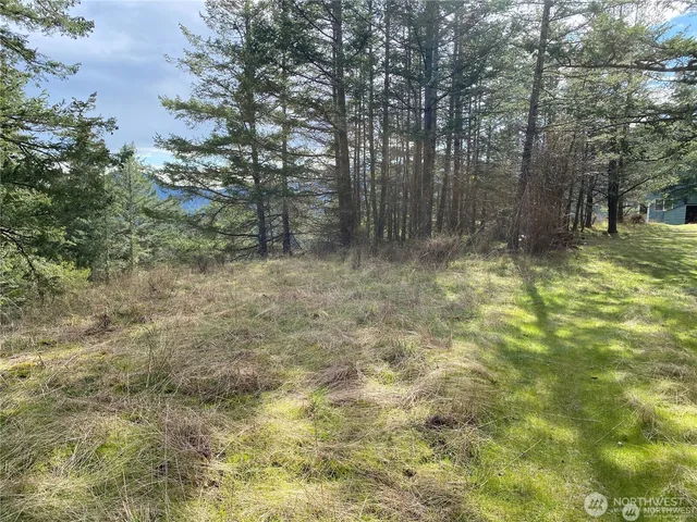 $375,000 | 9 Tomihi Drive, Orcas Island, WA 98245