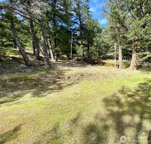 $375,000 | 9 Tomihi Drive, Orcas Island, WA 98245