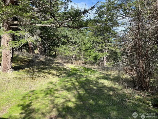 $375,000 | 9 Tomihi Drive, Orcas Island, WA 98245