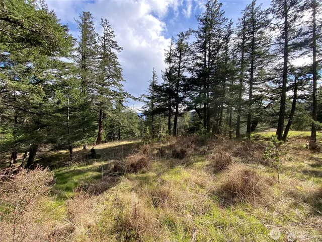 $375,000 | 9 Tomihi Drive, Orcas Island, WA 98245