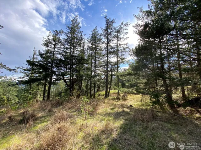 $375,000 | 9 Tomihi Drive, Orcas Island, WA 98245