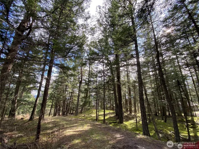 $375,000 | 9 Tomihi Drive, Orcas Island, WA 98245