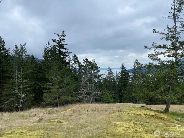 $375,000 | 9 Tomihi Drive, Orcas Island, WA 98245