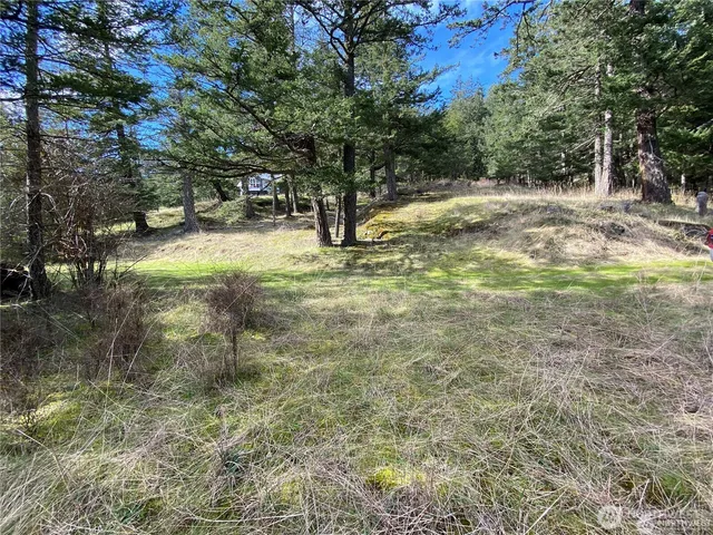 $375,000 | 9 Tomihi Drive, Orcas Island, WA 98245