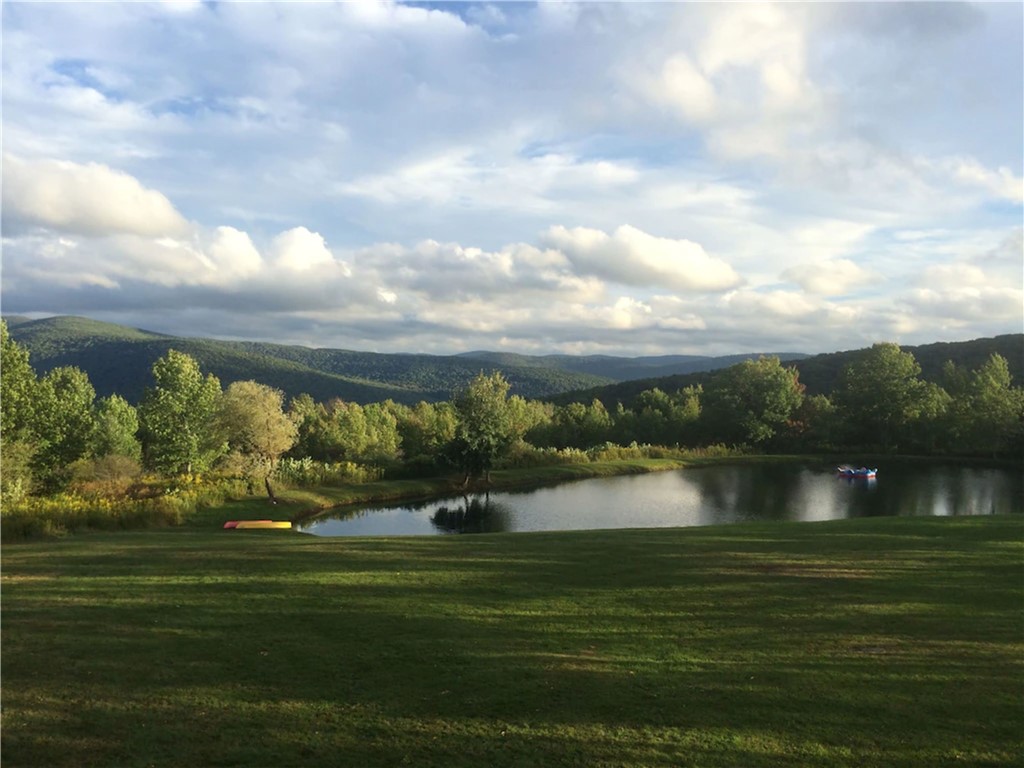 180 Fox Ridge Road Margaretville, NY 12455 - Photo 2 of 38