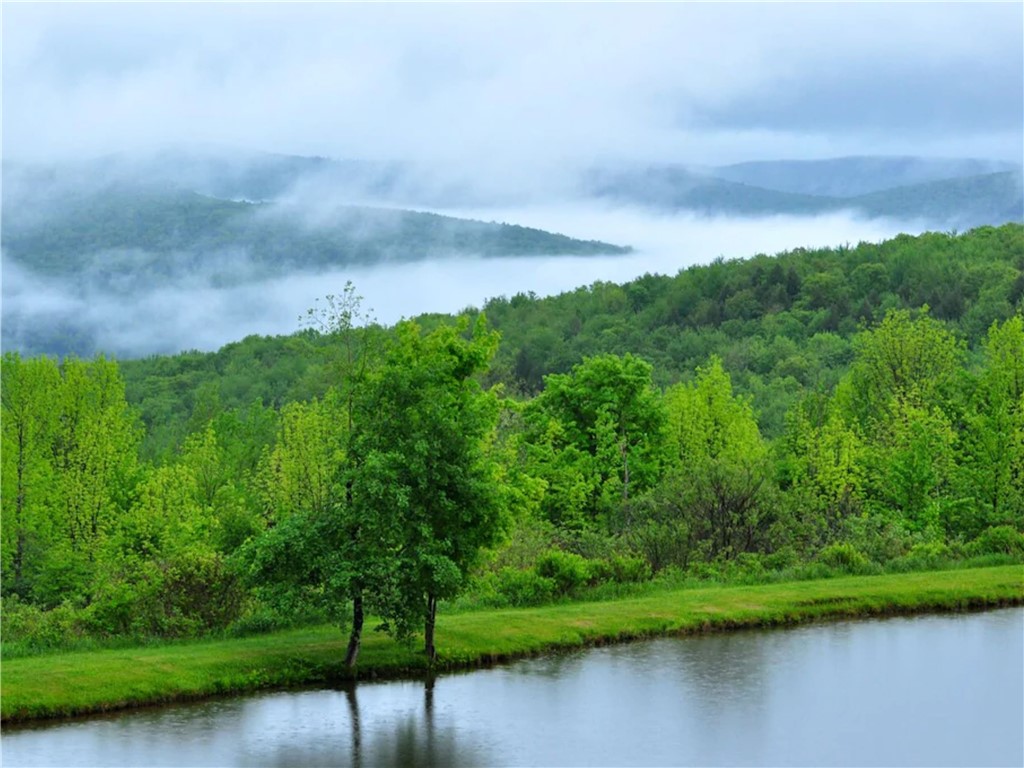180 Fox Ridge Road Margaretville, NY 12455 - Photo 29 of 38