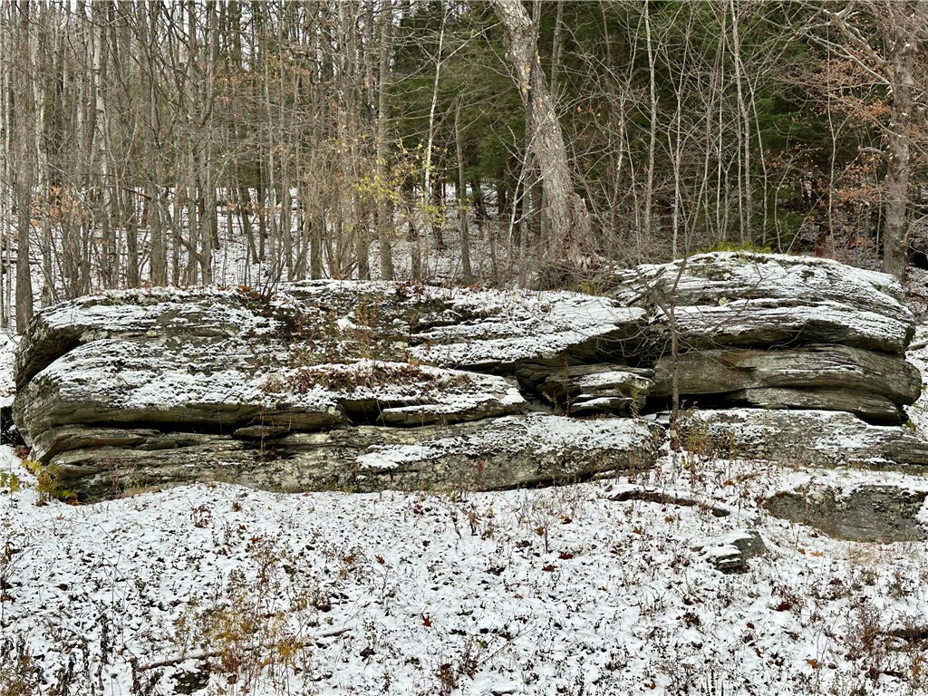 180 Fox Ridge Road Margaretville, NY 12455 - Photo 31 of 38