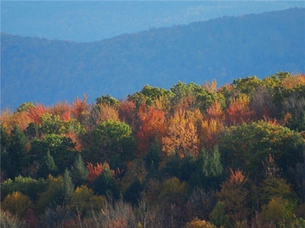 180 Fox Ridge Road Margaretville, NY 12455 - Photo 32 of 38