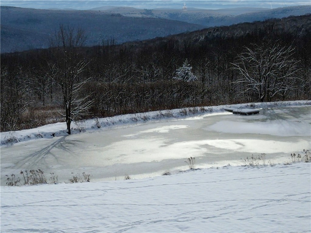 180 Fox Ridge Road Margaretville, NY 12455 - Photo 34 of 38