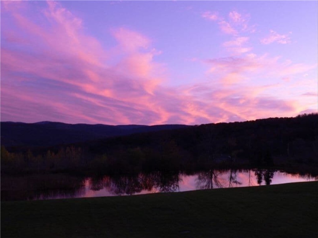 180 Fox Ridge Road Margaretville, NY 12455 - Photo 5 of 38