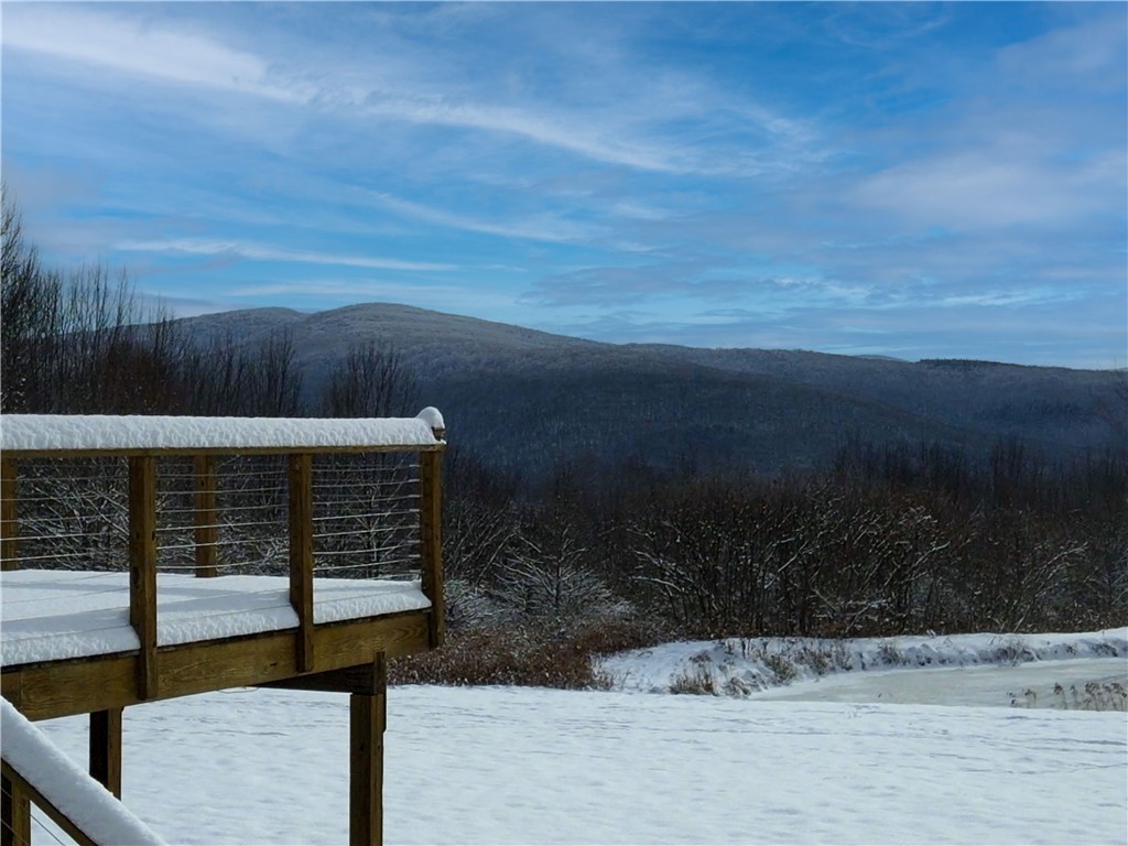 180 Fox Ridge Road Margaretville, NY 12455 - Photo 6 of 38