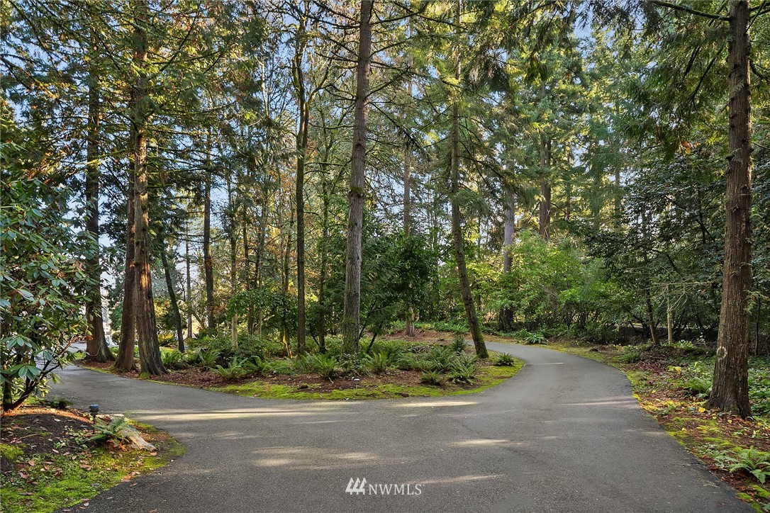 3808 Hunts Point Road Hunts Point, WA 98004 - Photo 22 of 24 a view of a park with large trees