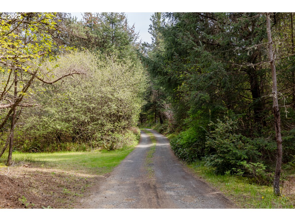 11119 Pacific Way Long Beach, WA 98631 - Photo 11 of 19 a view of a yard and pathway