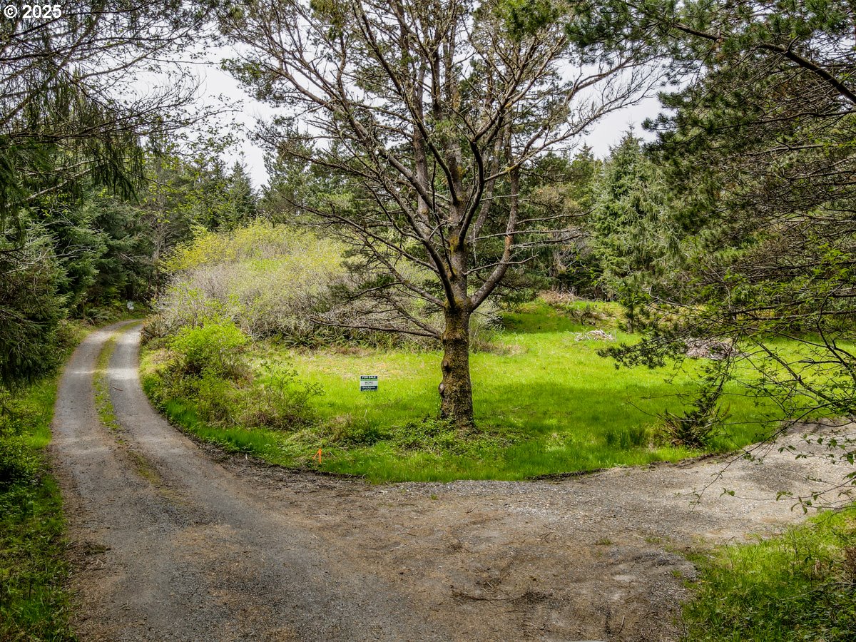 11119 Pacific Way Long Beach, WA 98631 - Photo 12 of 19 a view of a garden with large trees