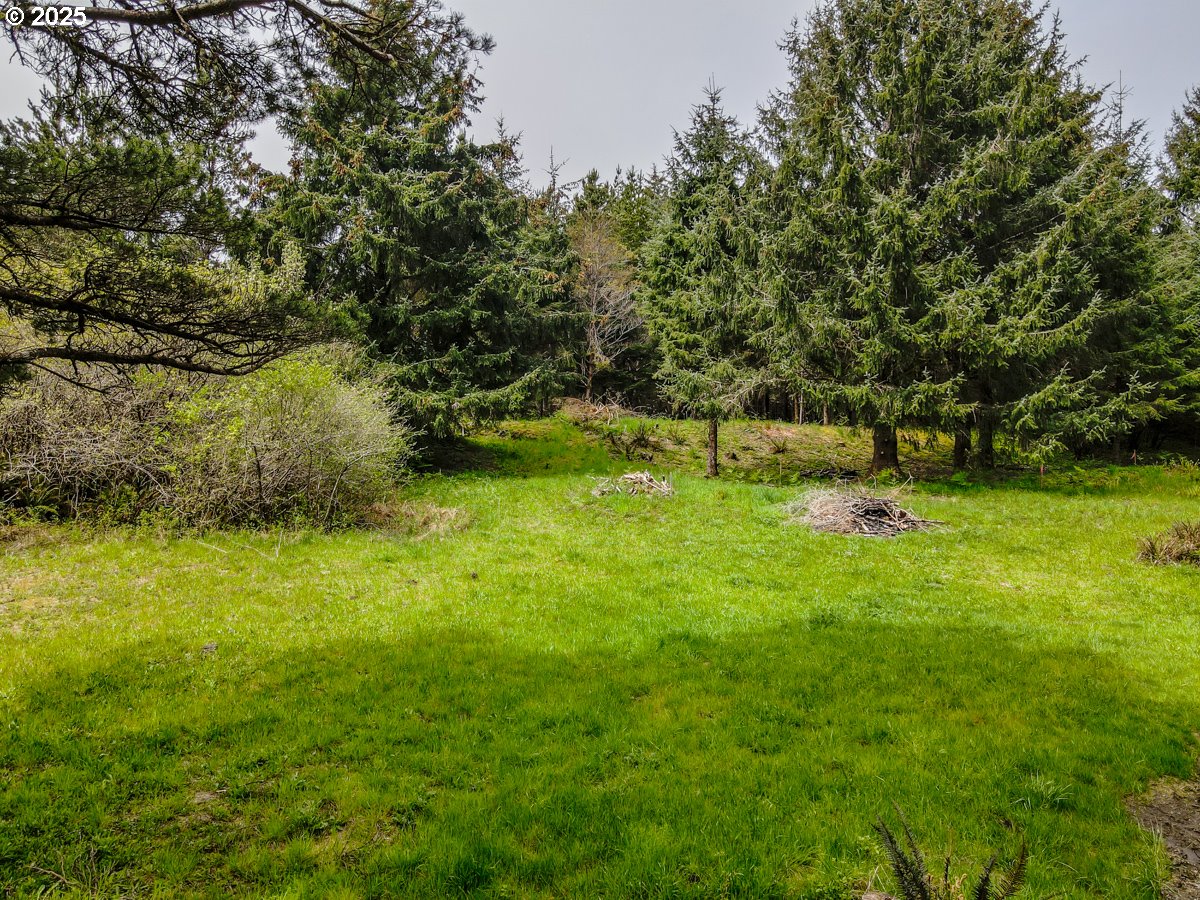 11119 Pacific Way Long Beach, WA 98631 - Photo 13 of 19 a backyard of a house with a yard and lake view