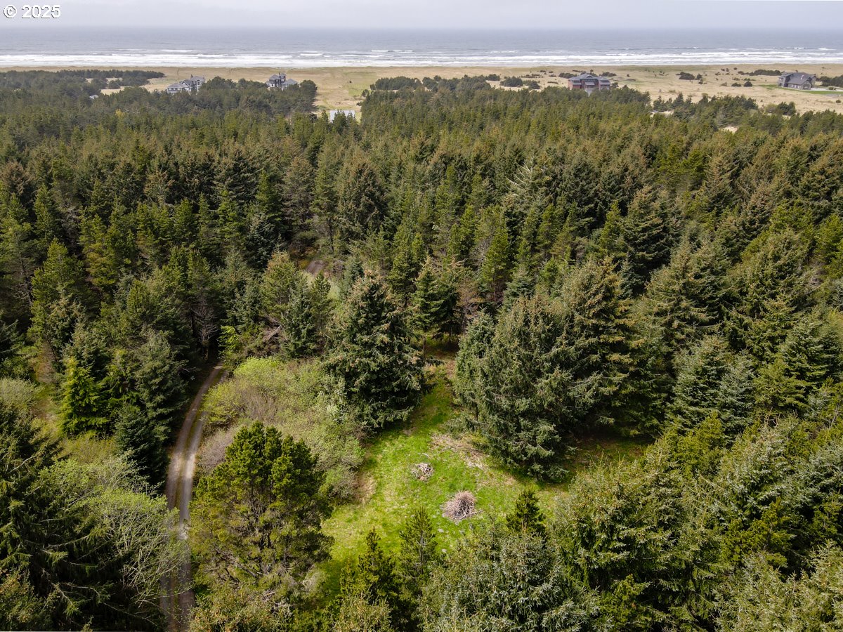 11119 Pacific Way Long Beach, WA 98631 - Photo 15 of 19 a view of a city with lush green forest