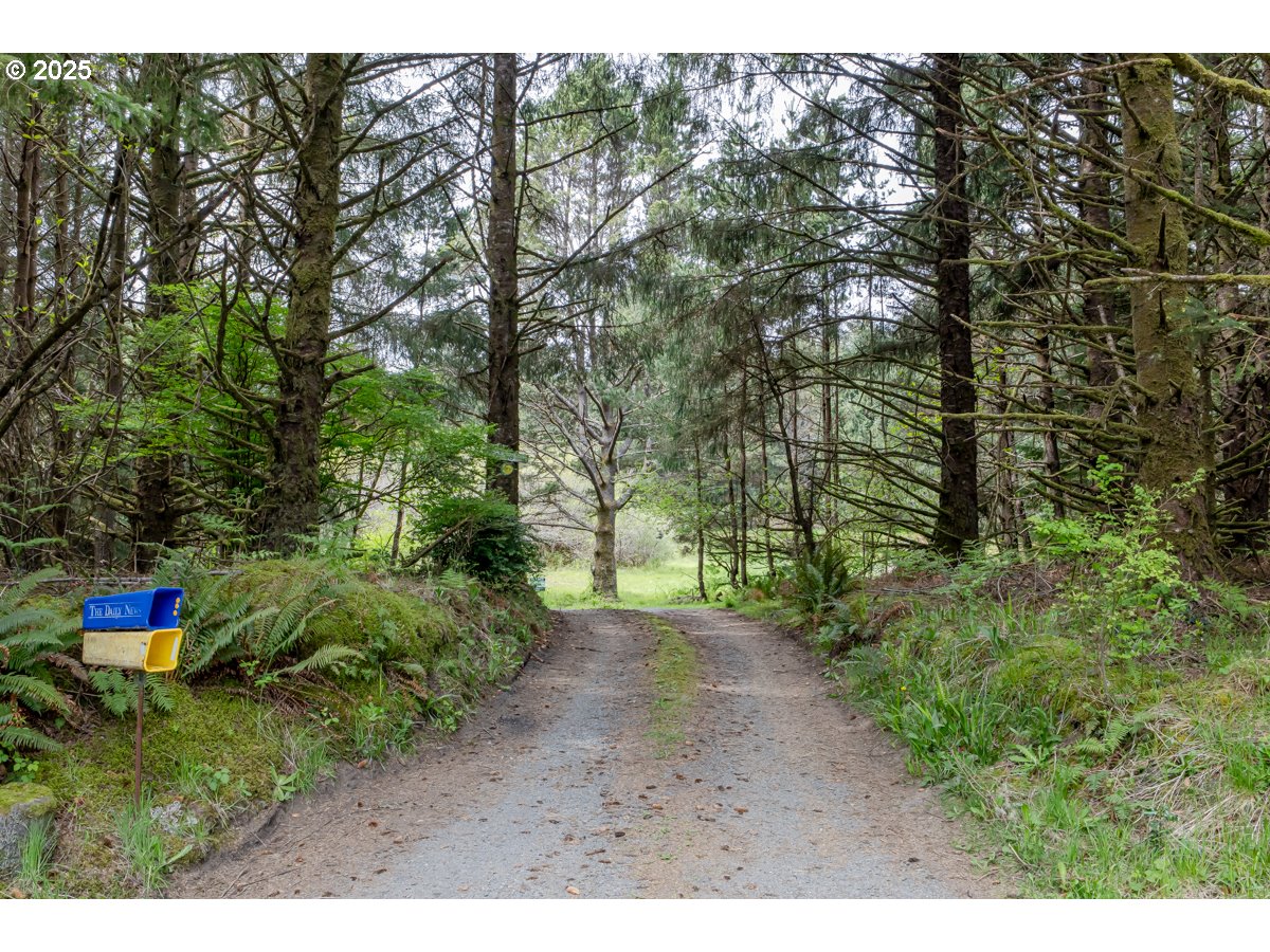 11119 Pacific Way Long Beach, WA 98631 - Photo 2 of 19 a picture of street view