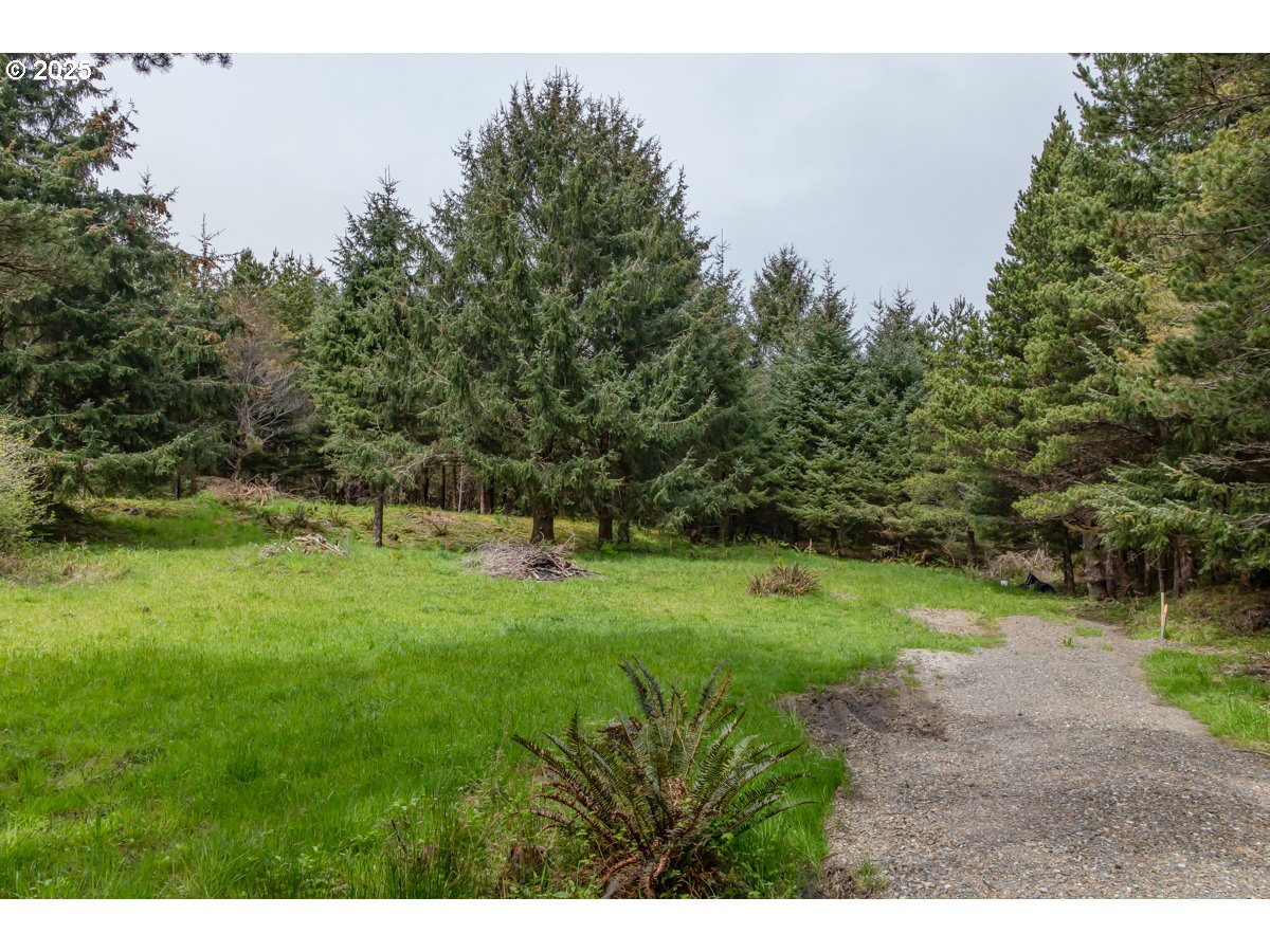 11119 Pacific Way Long Beach, WA 98631 - Photo 3 of 19 a view of a park