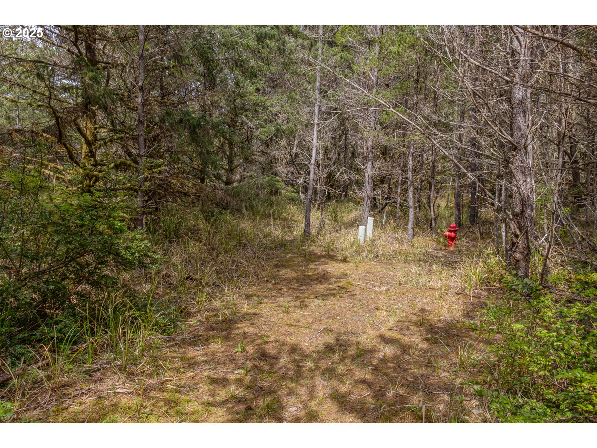 11119 Pacific Way Long Beach, WA 98631 - Photo 4 of 19