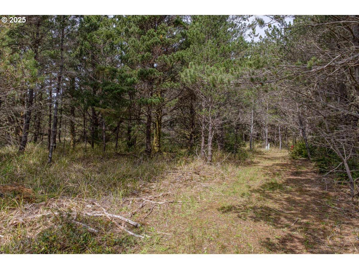 11119 Pacific Way Long Beach, WA 98631 - Photo 5 of 19 a view of a lake view