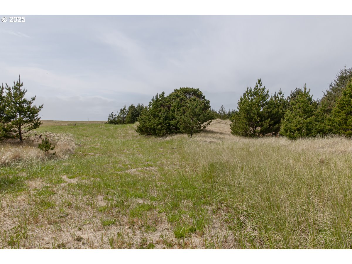 11119 Pacific Way Long Beach, WA 98631 - Photo 7 of 19 a view of outdoor space and yard