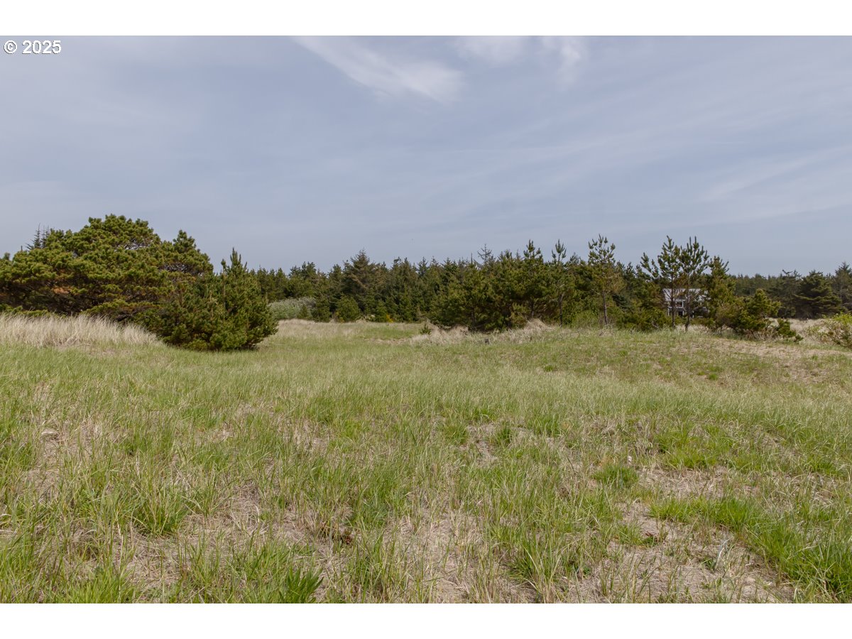 11119 Pacific Way Long Beach, WA 98631 - Photo 8 of 19 a view of a field of grass and trees