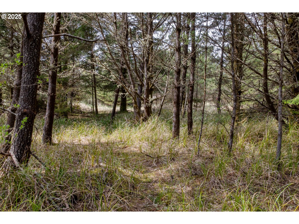11119 Pacific Way Long Beach, WA 98631 - Photo 9 of 19 a view of swimming pool with a yard