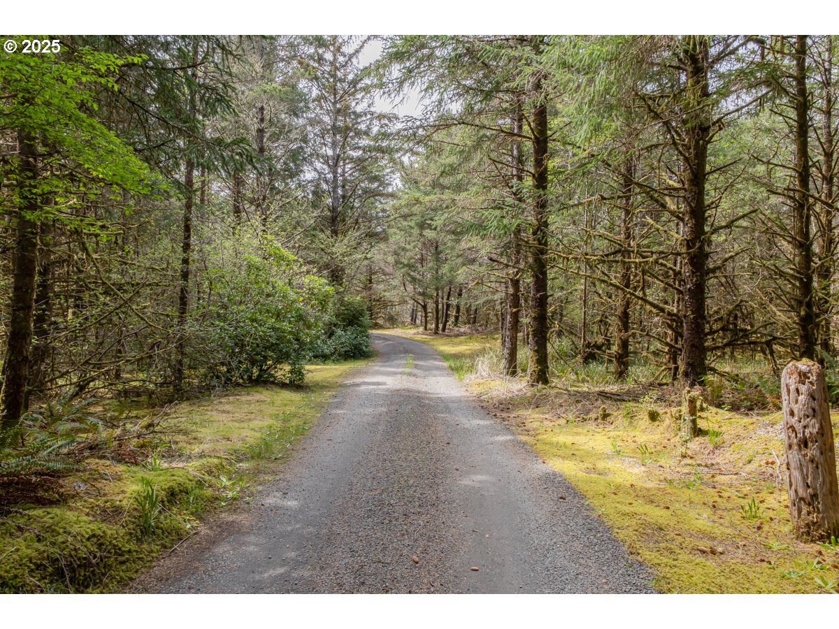 11119 Pacific Way Long Beach, WA 98631 - Photo 10 of 19 a view of a yard with trees