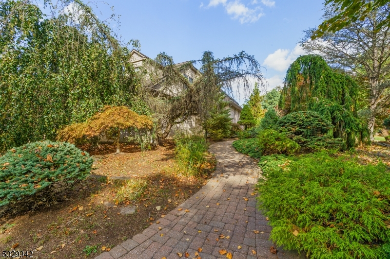 312 Naughright Road Long Valley, NJ 07853 - Photo 27 of 32 a view of a yard with plants and large trees