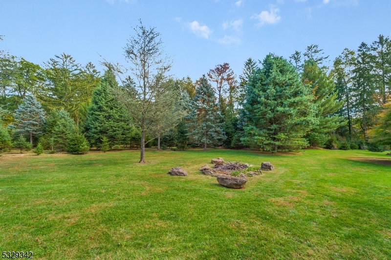 312 Naughright Road Long Valley, NJ 07853 - Photo 29 of 32 a view of a field with a tree