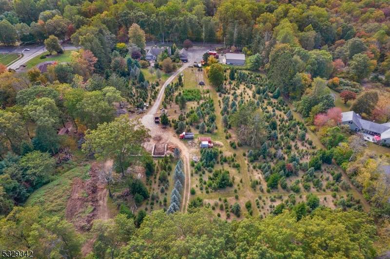 312 Naughright Road Long Valley, NJ 07853 - Photo 31 of 32 a view of a house with a tree