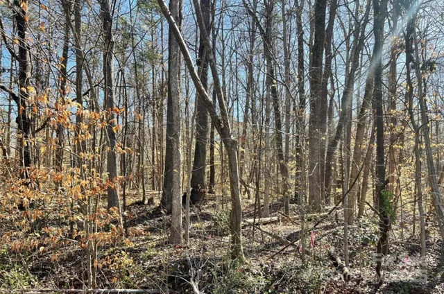 $295,000 | 1 Lurecliff Place, Fort Mill, SC 29708