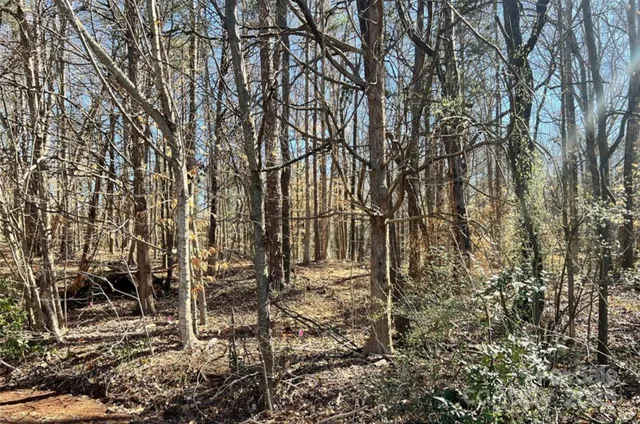 $295,000 | 1 Lurecliff Place, Fort Mill, SC 29708