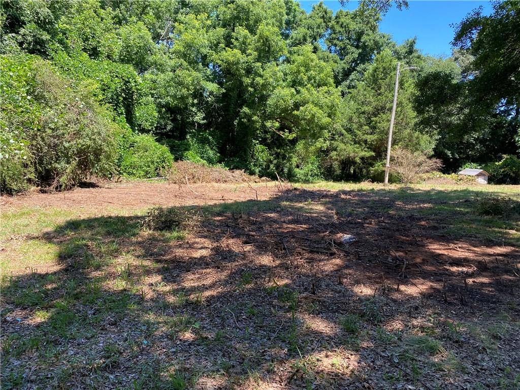 2281 Fork Creek Road Bowman, GA 30624 - Photo 26 of 55