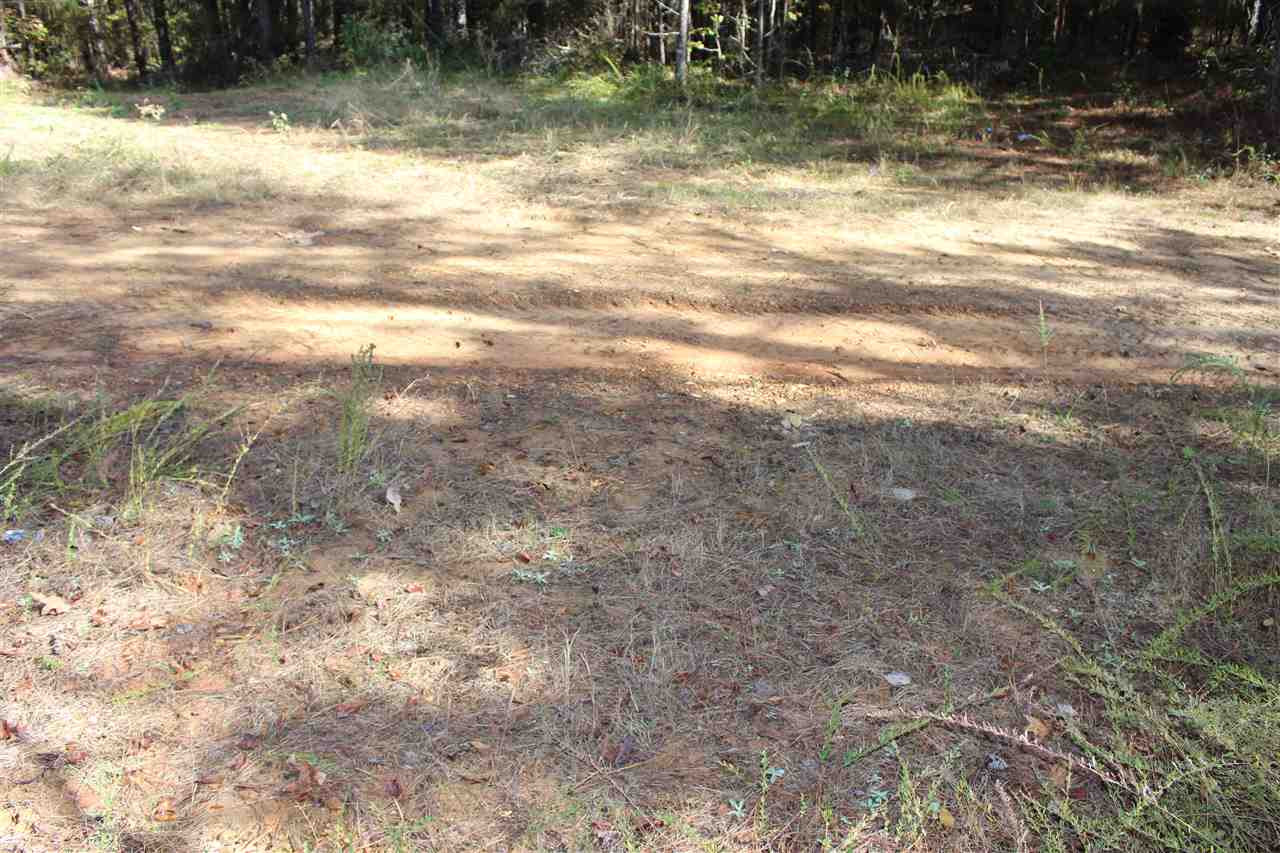 0 Stewart Road French Camp, MS 39745 - Photo 12 of 17 Photo 12
